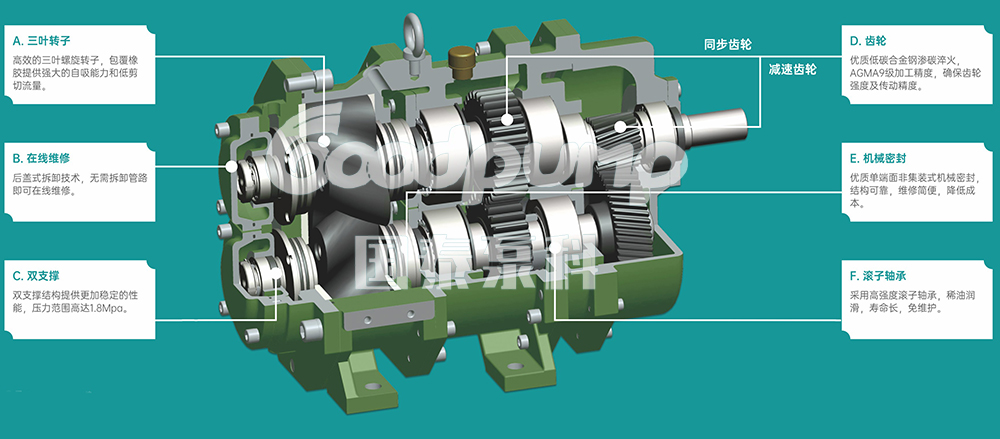 國泰轉(zhuǎn)子泵工作原理