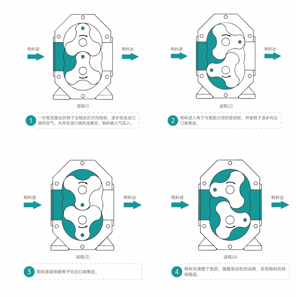 凸輪轉子泵工作原理